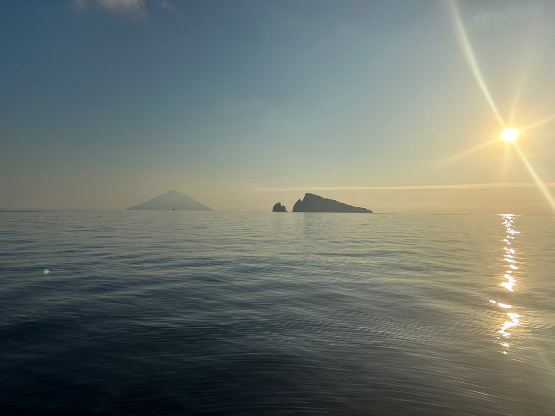 The NZ Vitamin D Problem: Why Most Kiwis Are Deficient